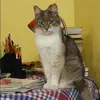 Отзыв от Лидия Нечаева